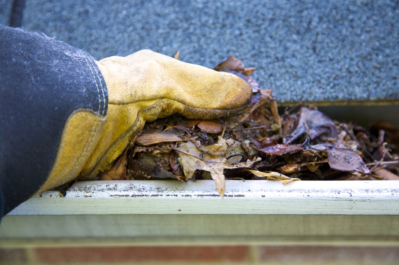 Siding Damage