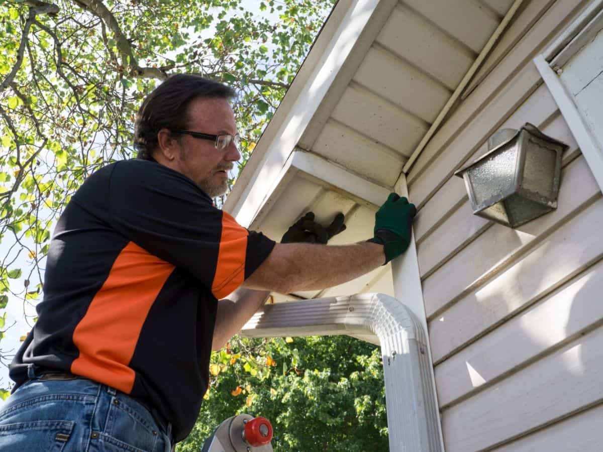 Complete Guide: the Cost of Professional Siding Repair Services